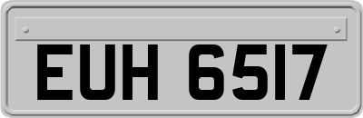 EUH6517