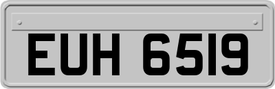 EUH6519