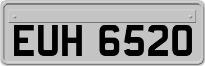 EUH6520