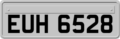 EUH6528