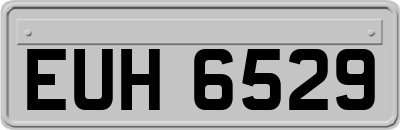 EUH6529