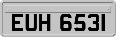 EUH6531