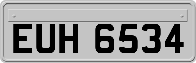 EUH6534