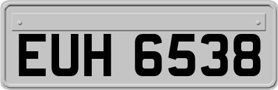 EUH6538