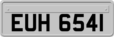 EUH6541