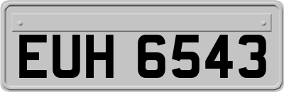 EUH6543