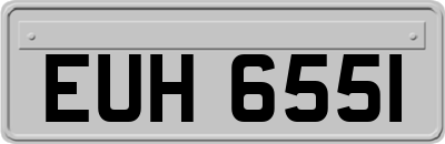 EUH6551