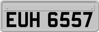 EUH6557