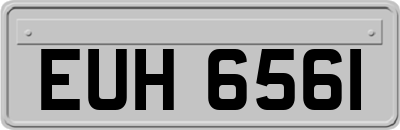 EUH6561