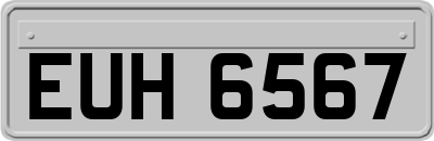 EUH6567