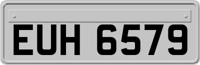 EUH6579