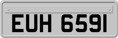 EUH6591