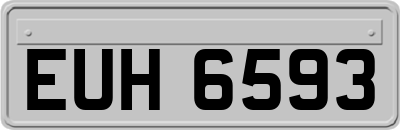 EUH6593