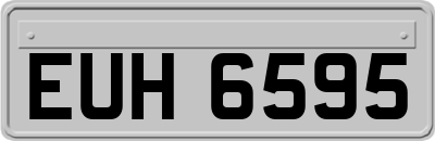 EUH6595