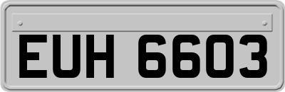 EUH6603
