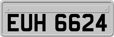 EUH6624