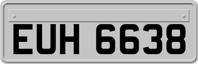 EUH6638