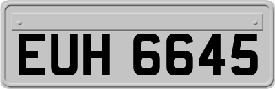 EUH6645