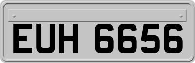 EUH6656