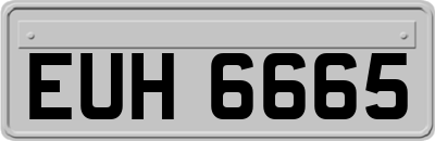 EUH6665