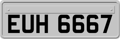 EUH6667