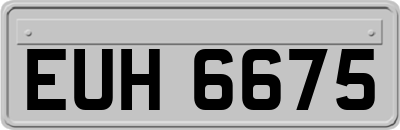EUH6675