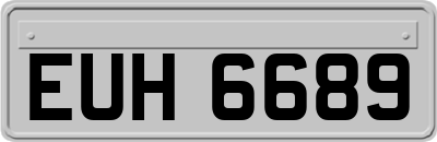 EUH6689