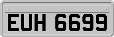 EUH6699