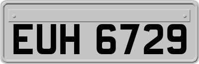 EUH6729