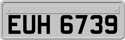 EUH6739