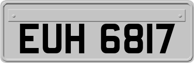 EUH6817