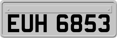 EUH6853