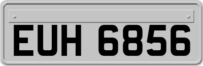 EUH6856