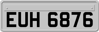 EUH6876