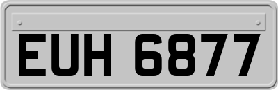 EUH6877