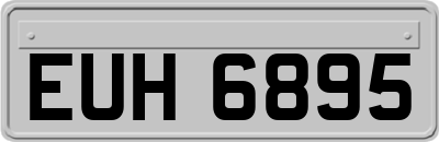 EUH6895