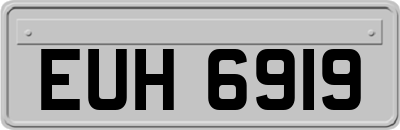 EUH6919