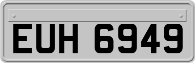 EUH6949