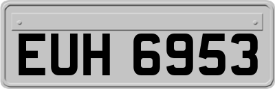 EUH6953
