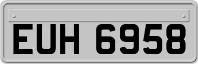 EUH6958