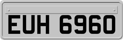 EUH6960