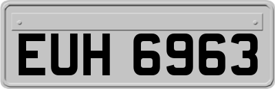 EUH6963