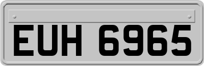 EUH6965