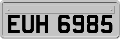 EUH6985