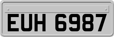 EUH6987