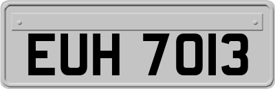EUH7013