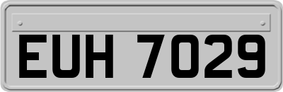 EUH7029