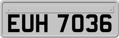 EUH7036