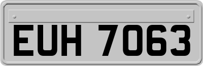 EUH7063
