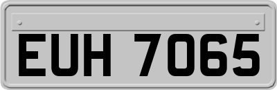 EUH7065